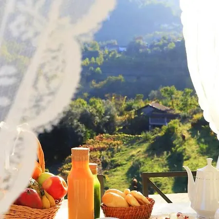 Homely With Mountain Views In Private Pool Terras de Bouro
